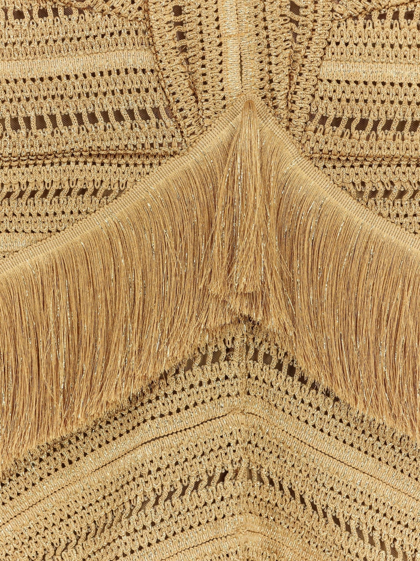PATBO Pampas mini dress with embroidery and fringes