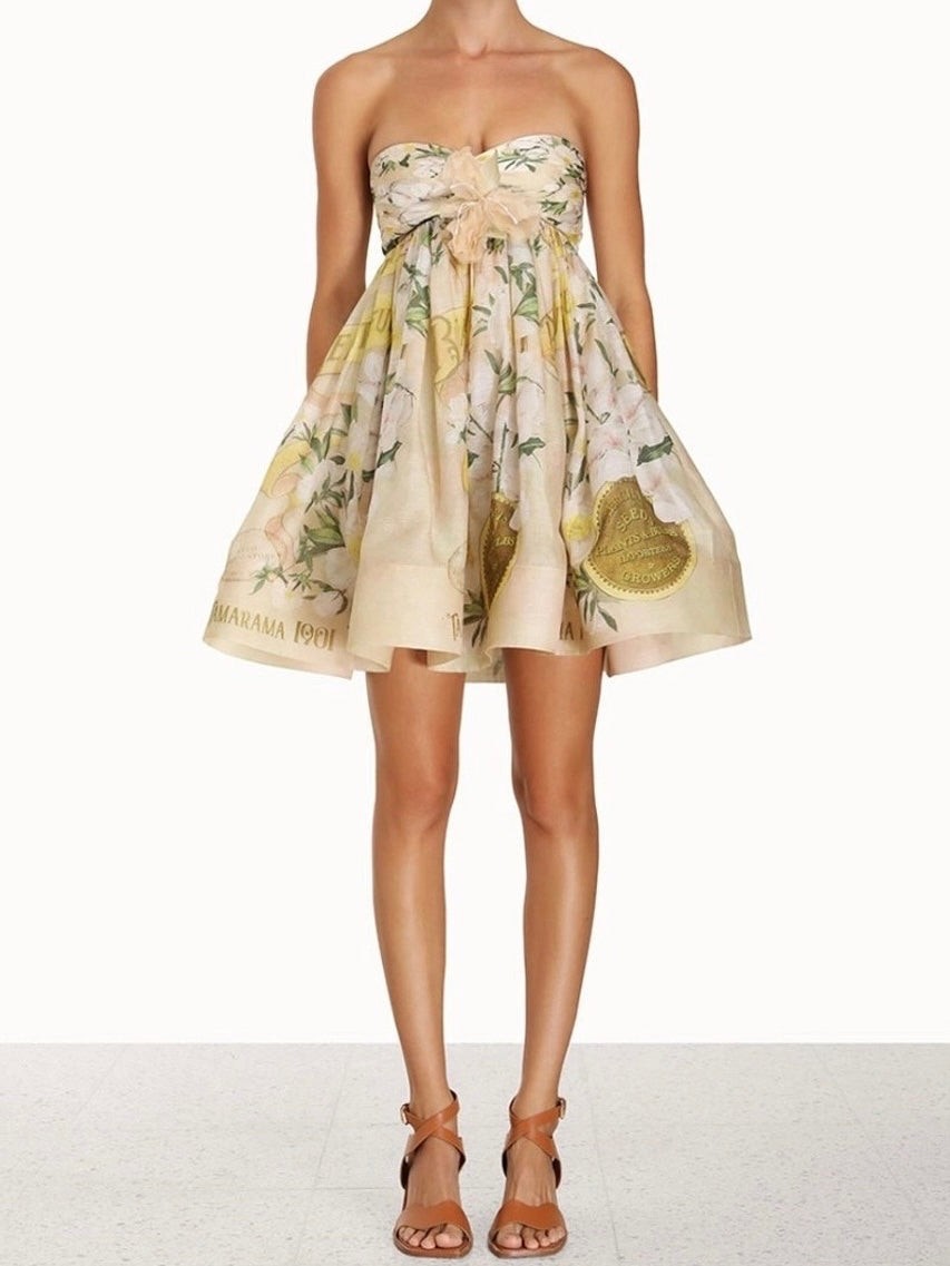 Zimmermann Coaster Strapless Rushed Mini Dress