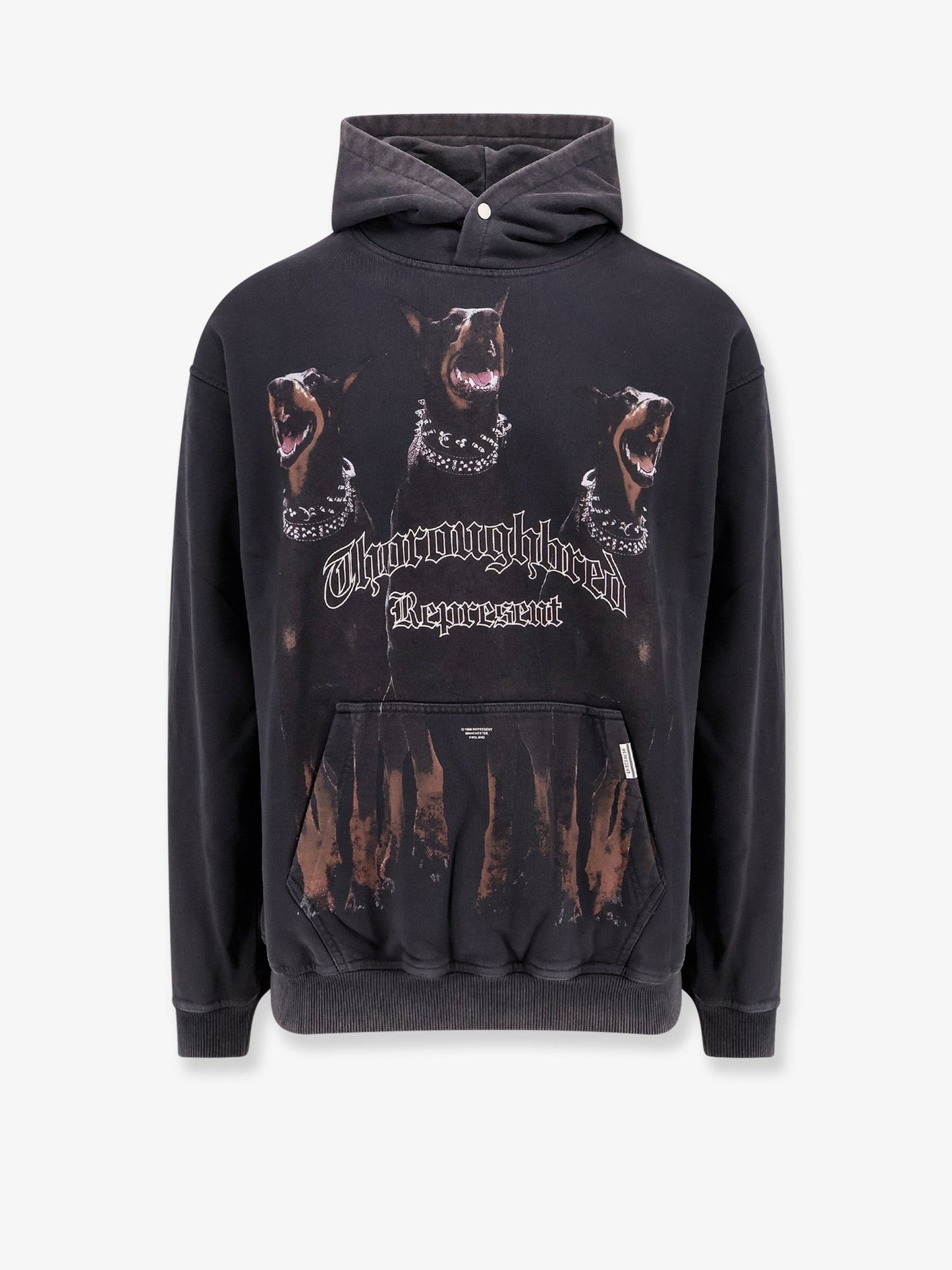 Represent Cotton sweatshirt with frontal thoroughbred print