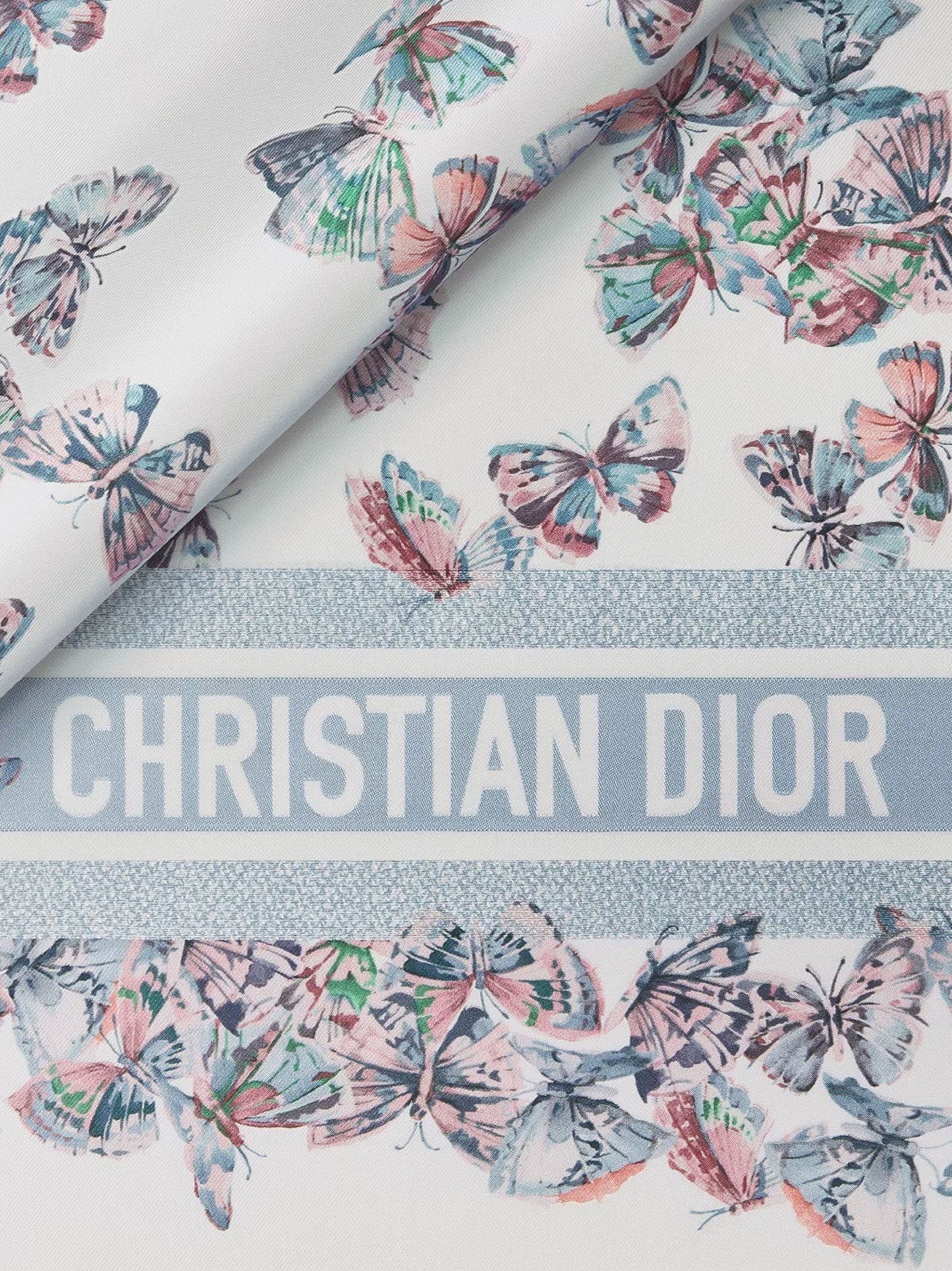 Dior DIOR DIOR CAMO PAPILLON