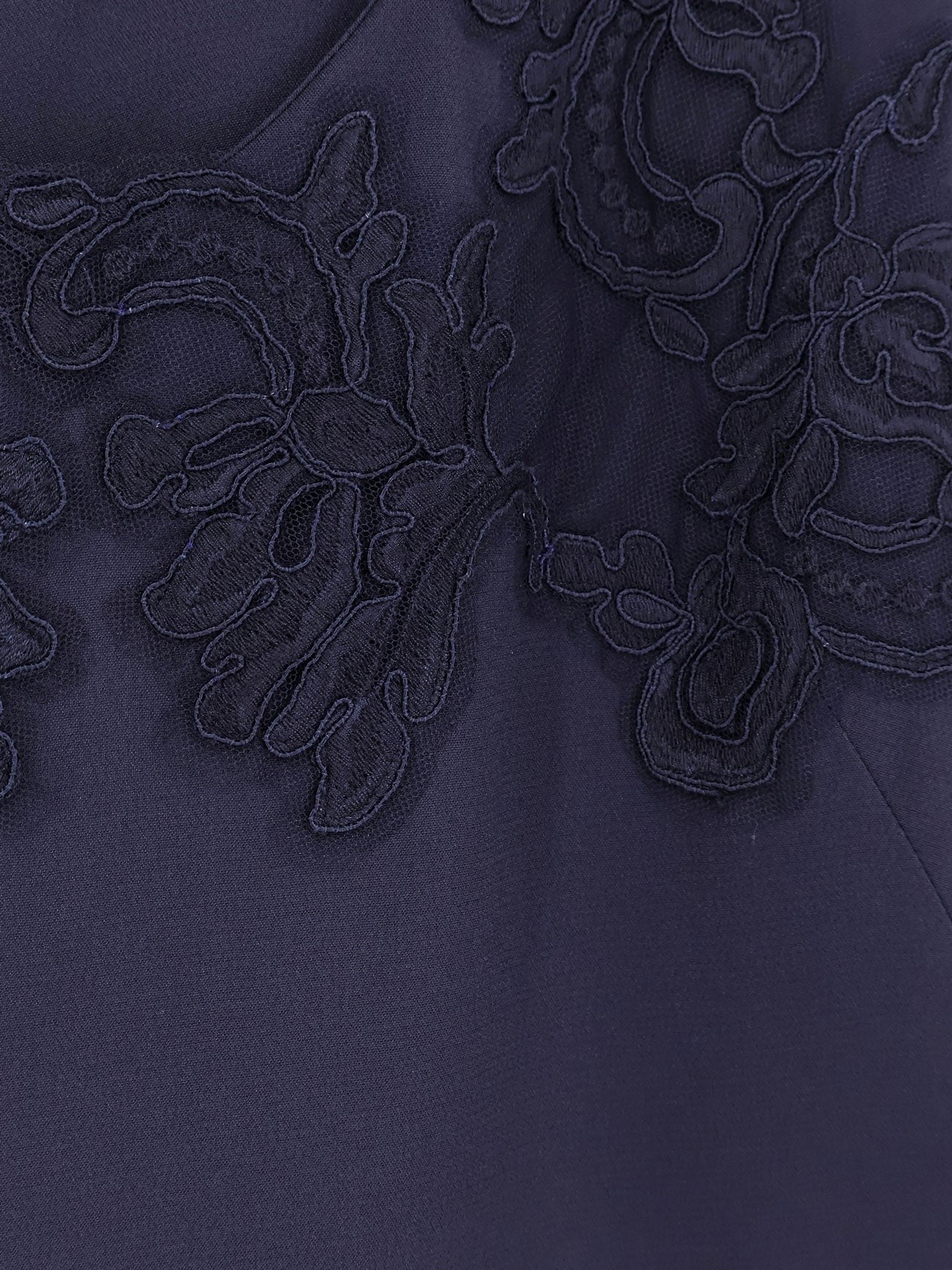 alberta ferretti Dress with lace profile