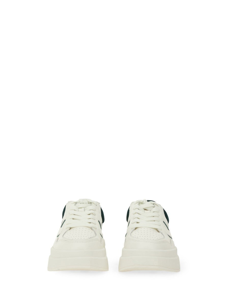 Ash "ICONIC" SNEAKERS