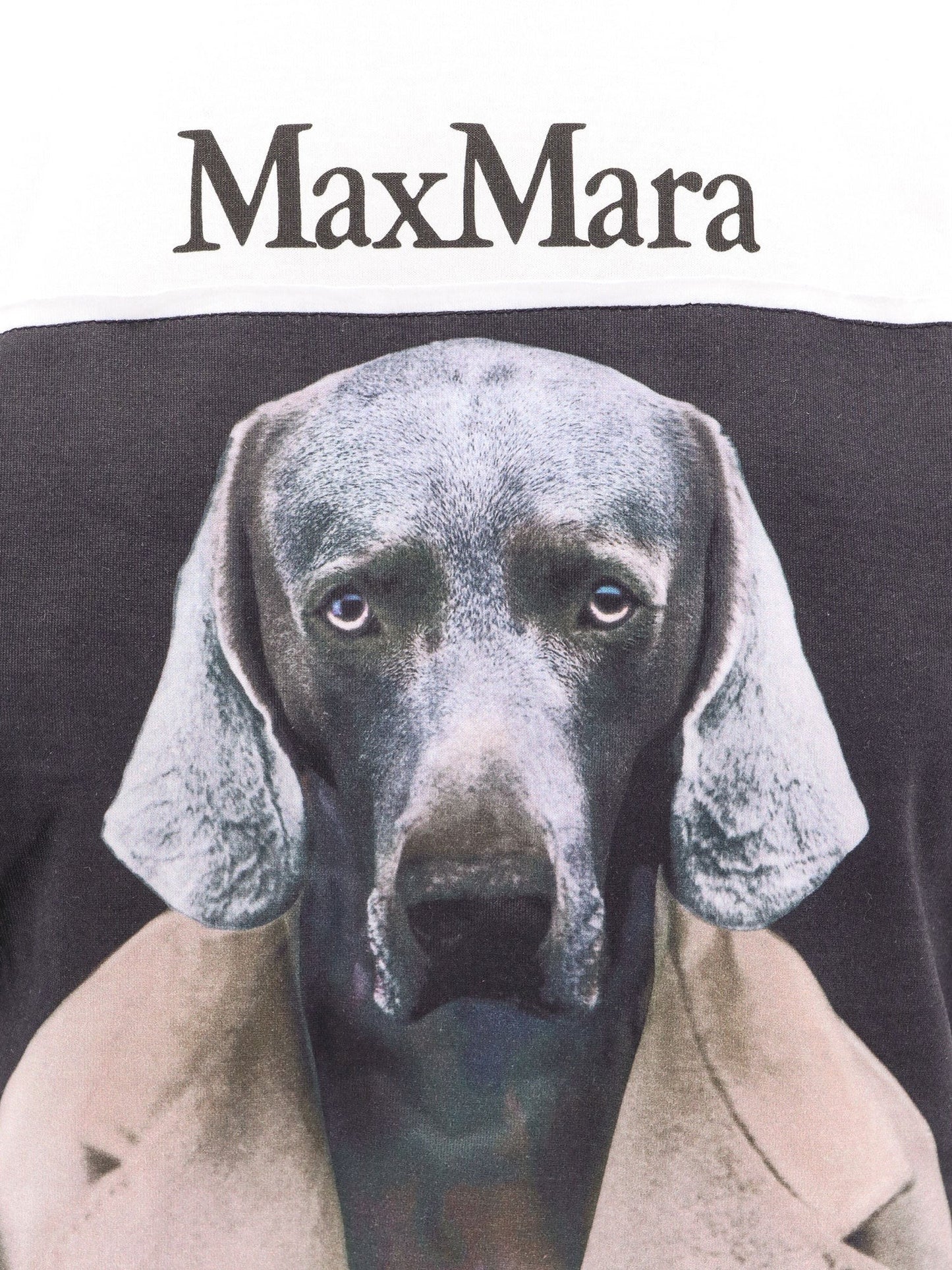 Max Mara MAX MARA CIPRIA