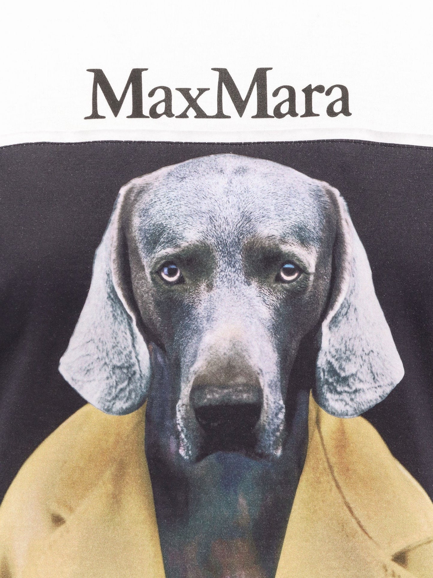 Max Mara MAX MARA CIPRIA