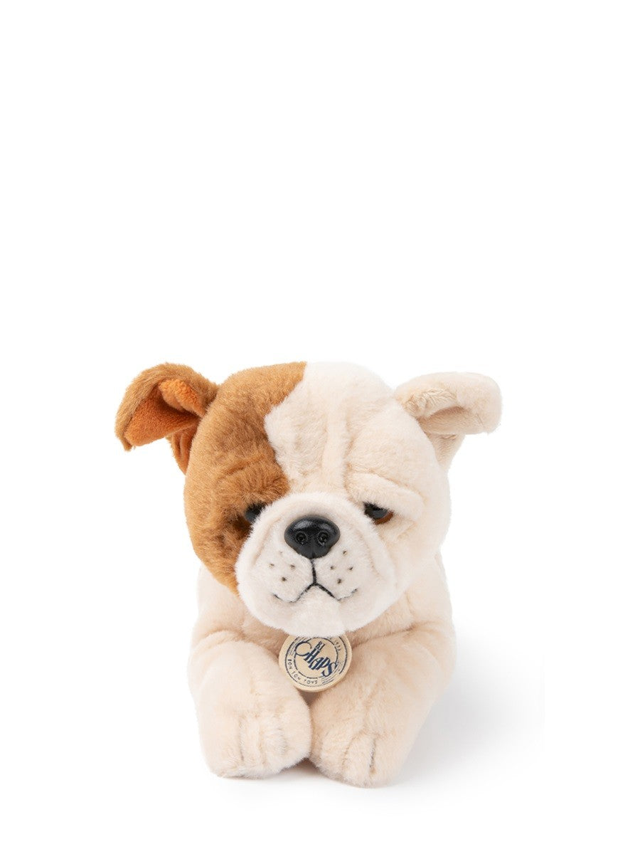 BON TON TOYS the american bulldog in giftbox