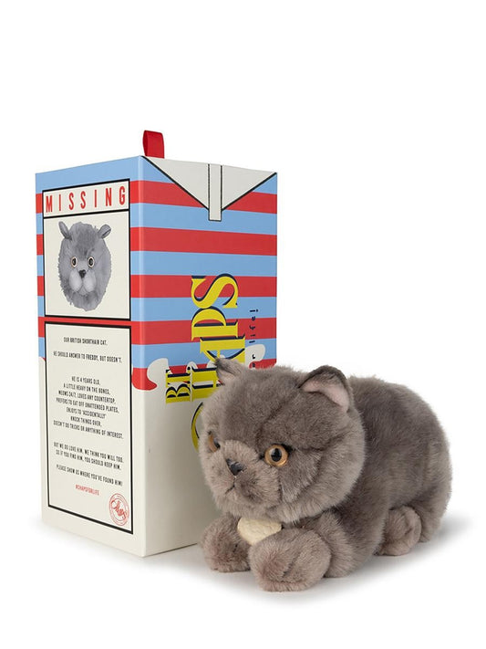 BON TON TOYS the british shorthair in giftbox