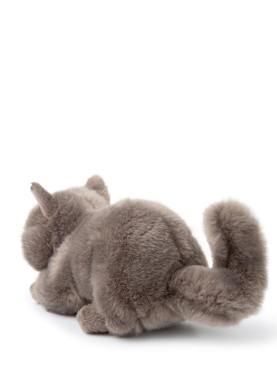 BON TON TOYS the british shorthair in giftbox