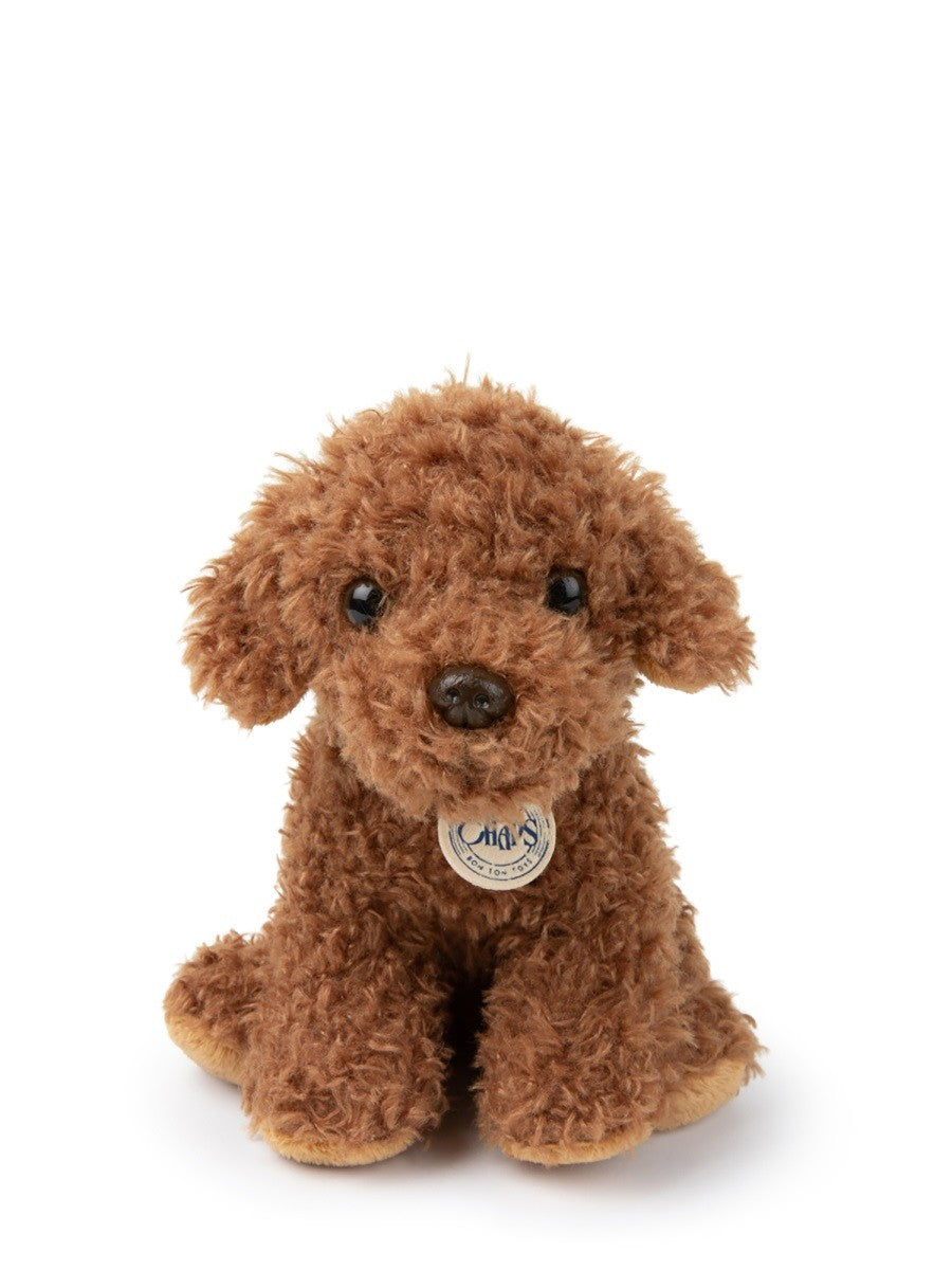 BON TON TOYS the labdradoodle in giftbox