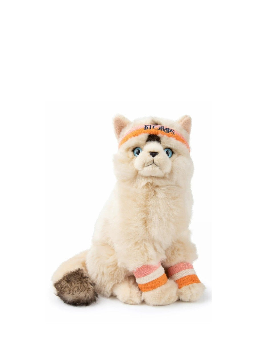 BON TON TOYS the ragdoll